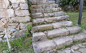 Tenuta Di Venere